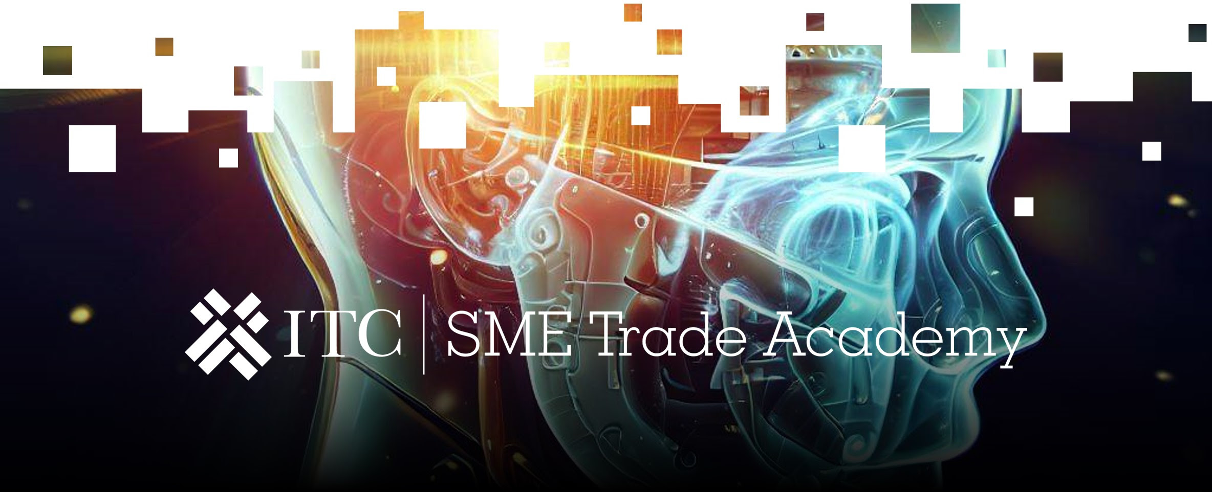 ITC | SME Trade Academy